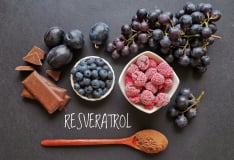 Resveratrol
